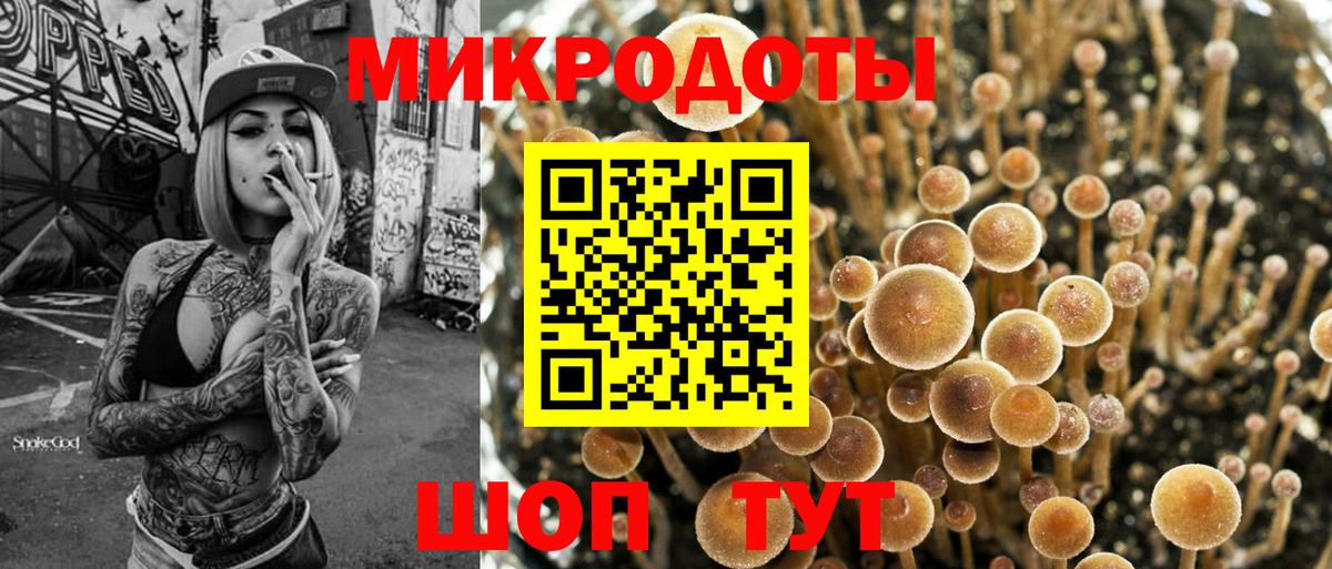 Тайшет  Галлюциногенные грибы Magic Shrooms  Вход с VPN 